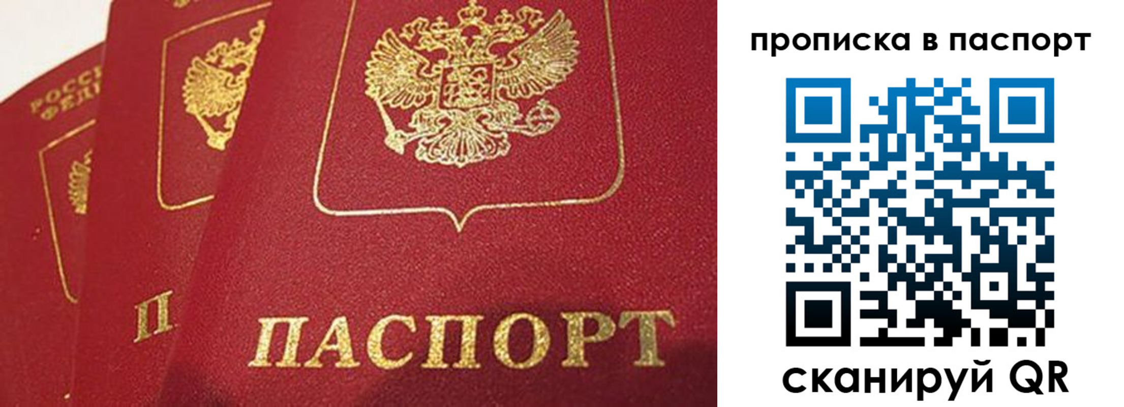 прописка гарантия в Краснокаменске